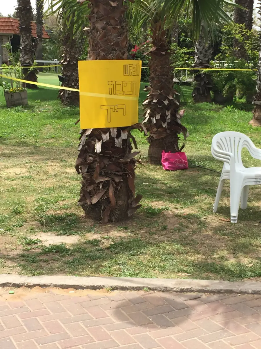 מפגש בני דורות