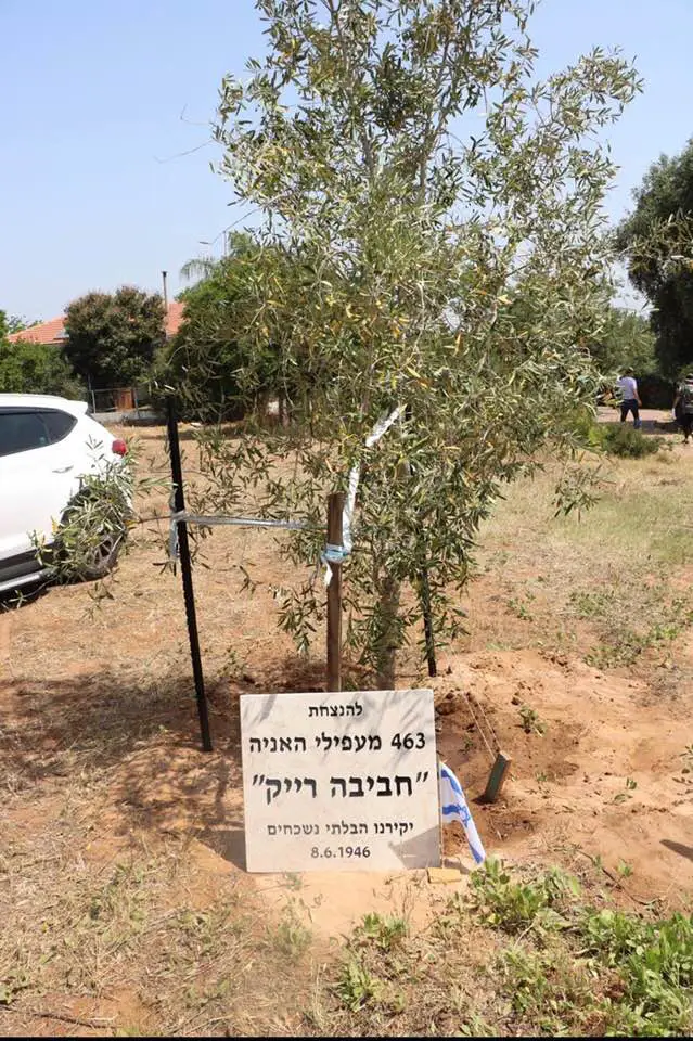 טקס נטיעת עץ והסרת הלוט מעל גלעד ההנצחה לזכר מעפילי האונייה חביבה רייך
