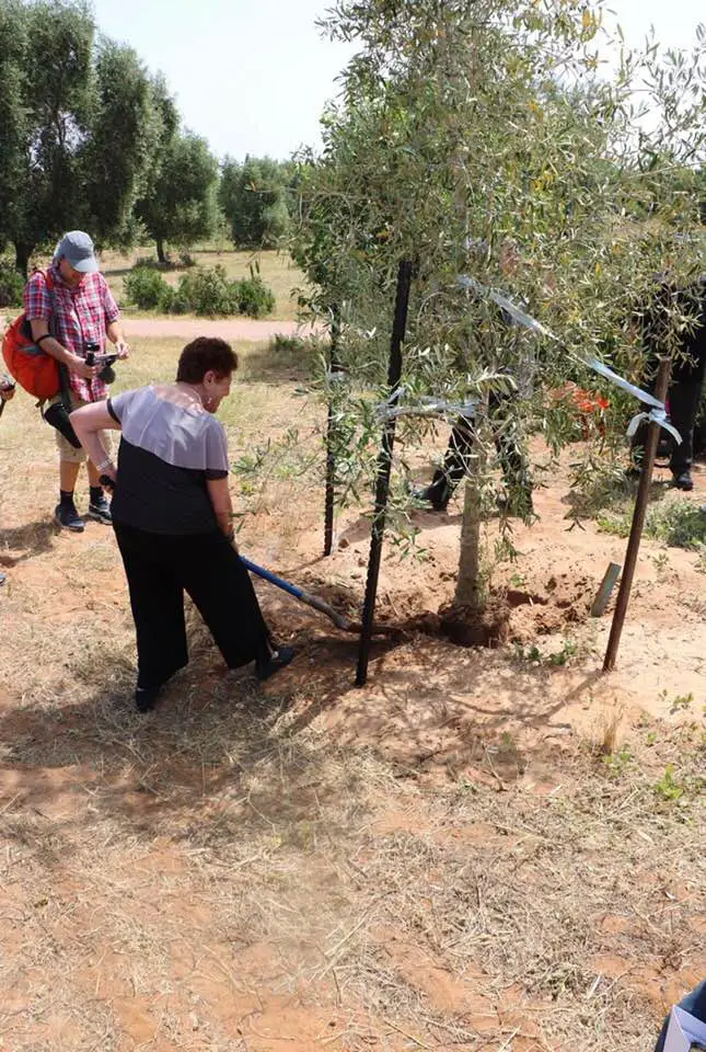 טקס נטיעת עץ והסרת הלוט מעל גלעד ההנצחה לזכר מעפילי האונייה חביבה רייך