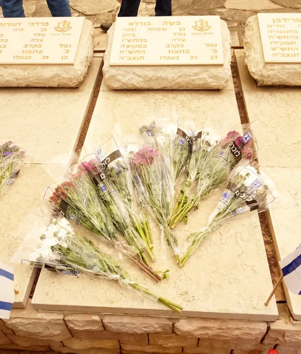 בורלה מואיס