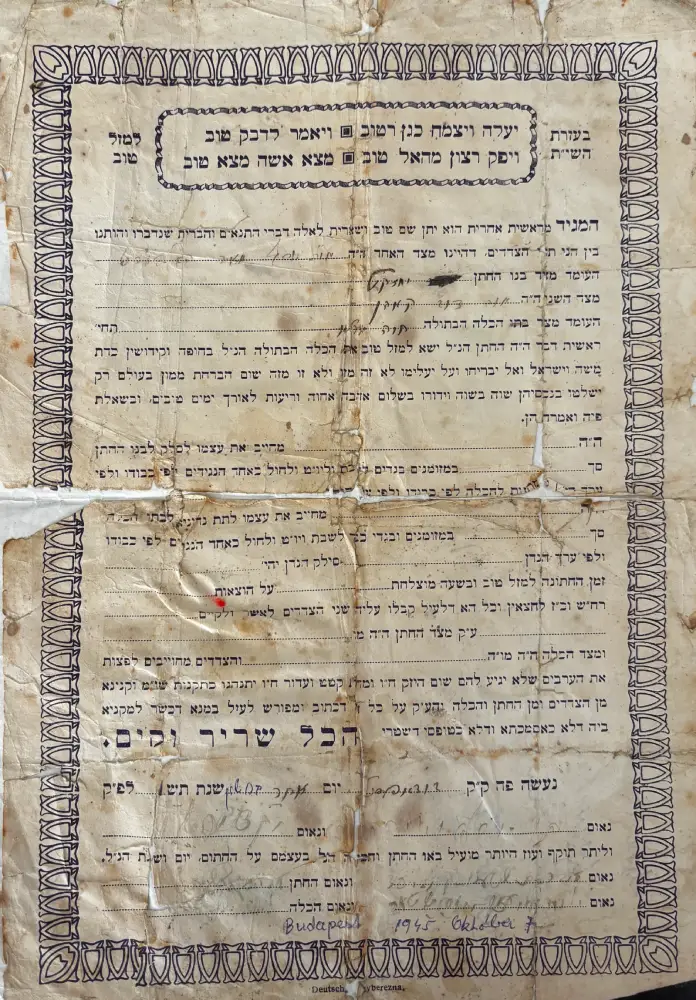 מפגש מרגש עם שורדת השואה חווה הלפרט