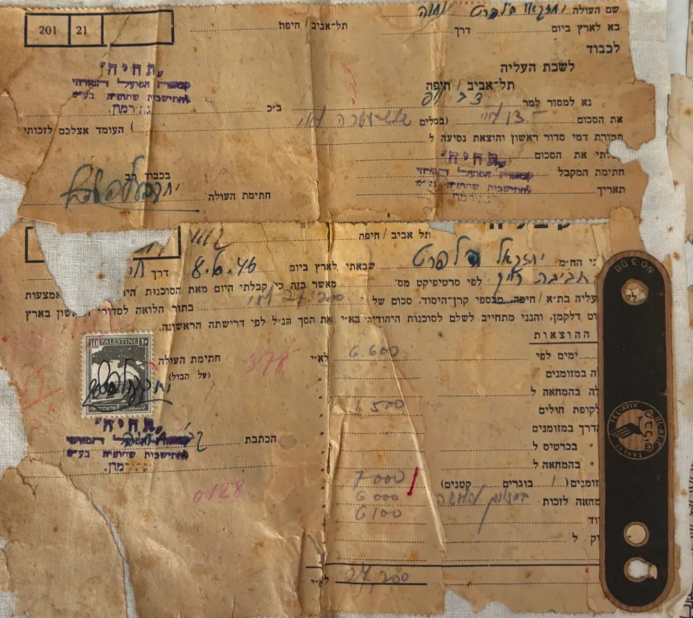 מפגש מרגש עם שורדת השואה חווה הלפרט