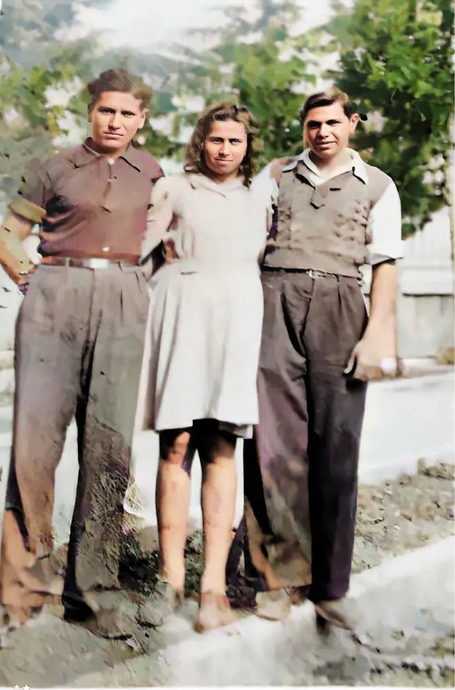 מאיר מנואל