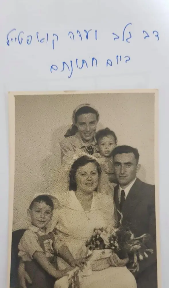 גלב דב