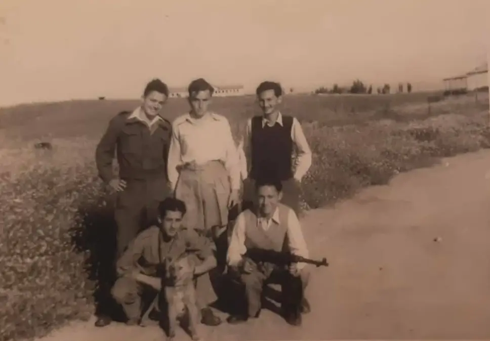 גלב דב