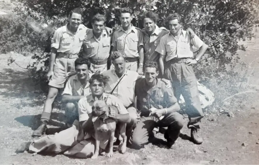גלב דב