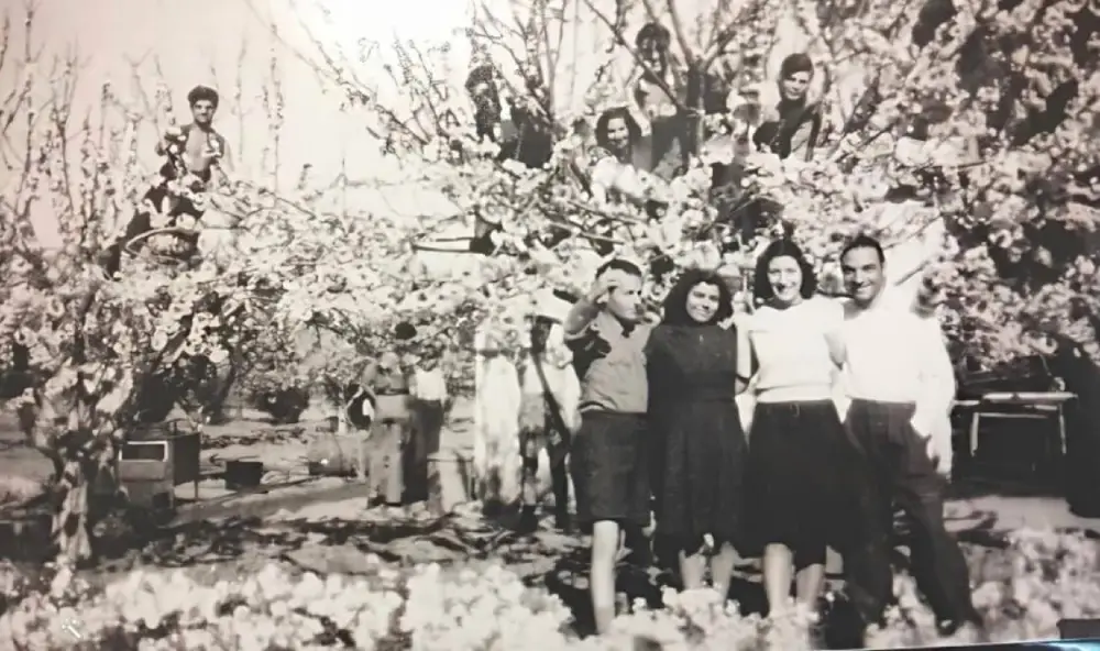 לז'ה אהרון