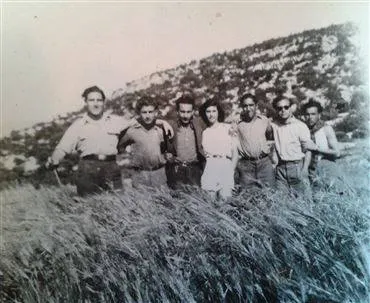 מצה יוסף