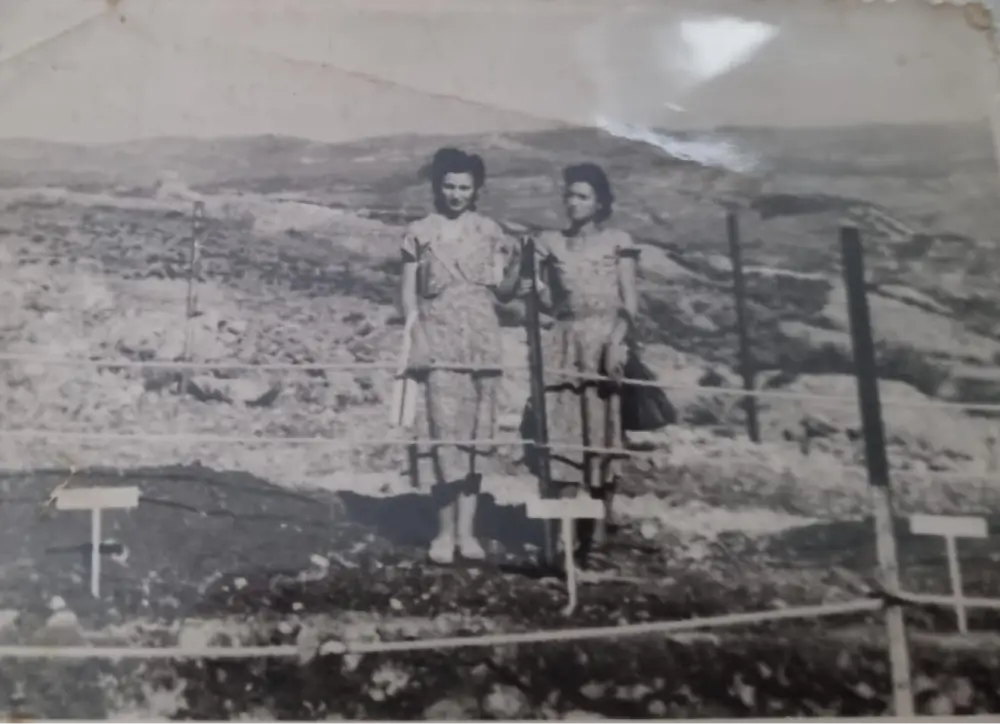 בללי וללי רחל