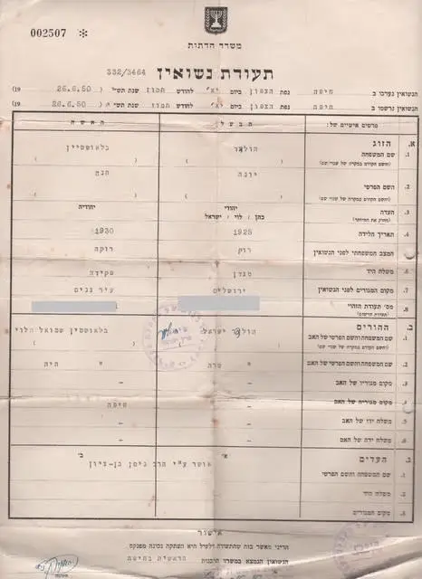 הולדר יונה