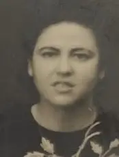 כהן חריסנה חריסולה