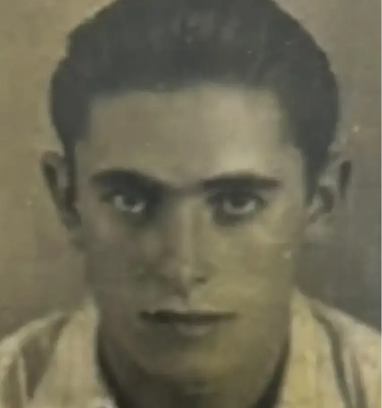 הולדר יונה