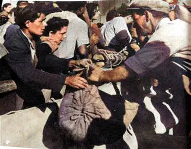 פסח אסתר ומואיס