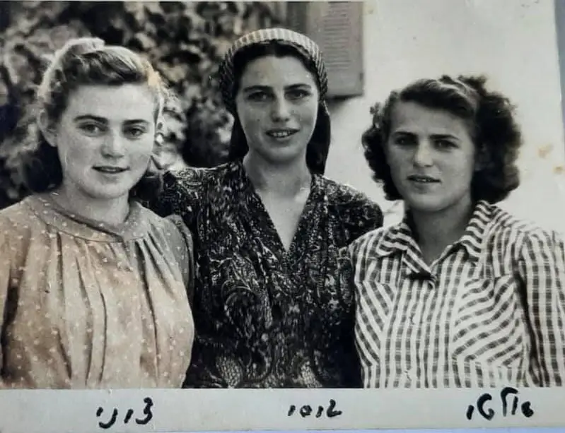 קאופטייל אלטי, סיזי וצילי