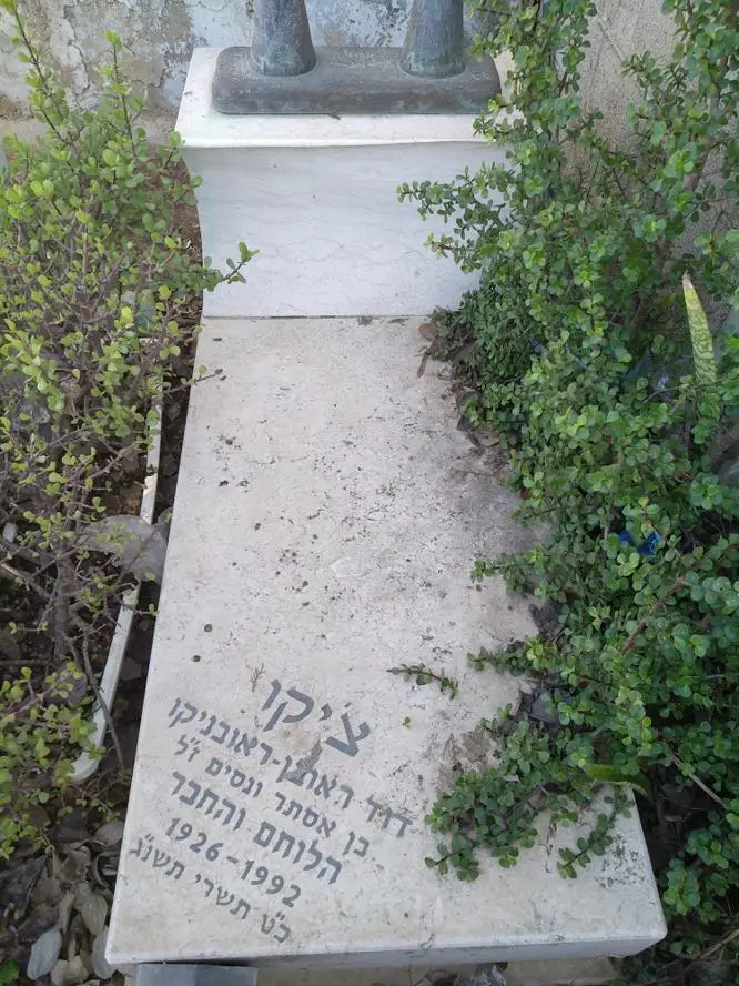 רובן דוד